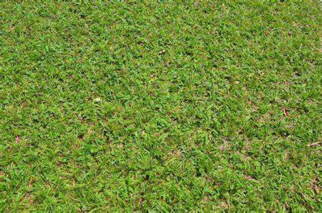 SOK LEHETŐSÉGET REJTŐ INGATLAN ANDOCSON