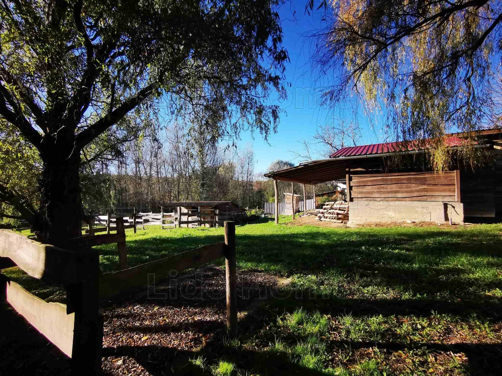 Eladó telek Andocs központjában – kiváló lehetőség vidéki otthon vagy gazdaság kialakítására