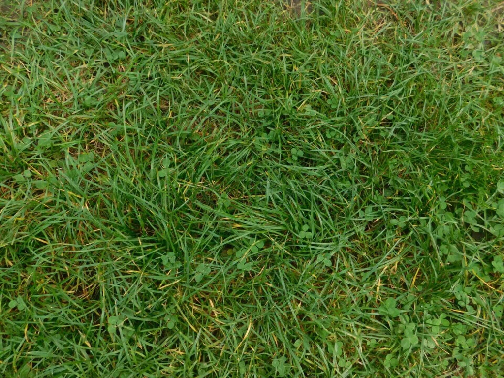 ELADÓ! ÉPÍTÉSI TELEK ÖREGLAKON!