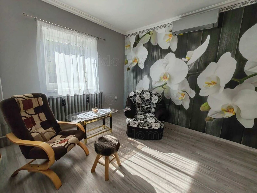 ELEDÓ! CSALÁDI HÁZ TÓVAL, TELEK VÉGÉN PATAKKAL SZŐLŐSGYÖRÖKBEN!