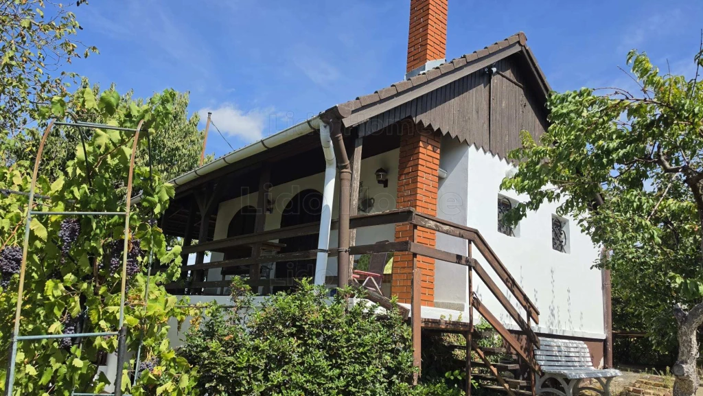 PANORÁMÁS SZŐLŐBIRTOK GAZDASÁGI ÉPÜLETTEL BALATONLELLE KISHEGYEN!