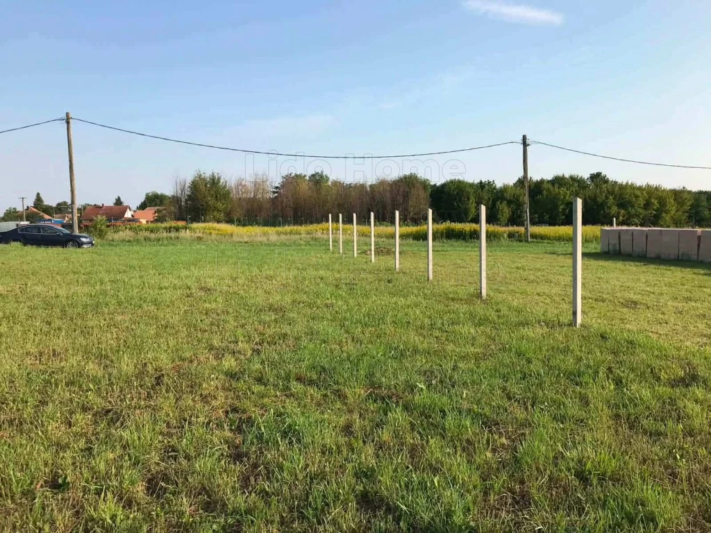Buzsákon kínálok megvételre egy 463 nm-es körbekerített építési telket.