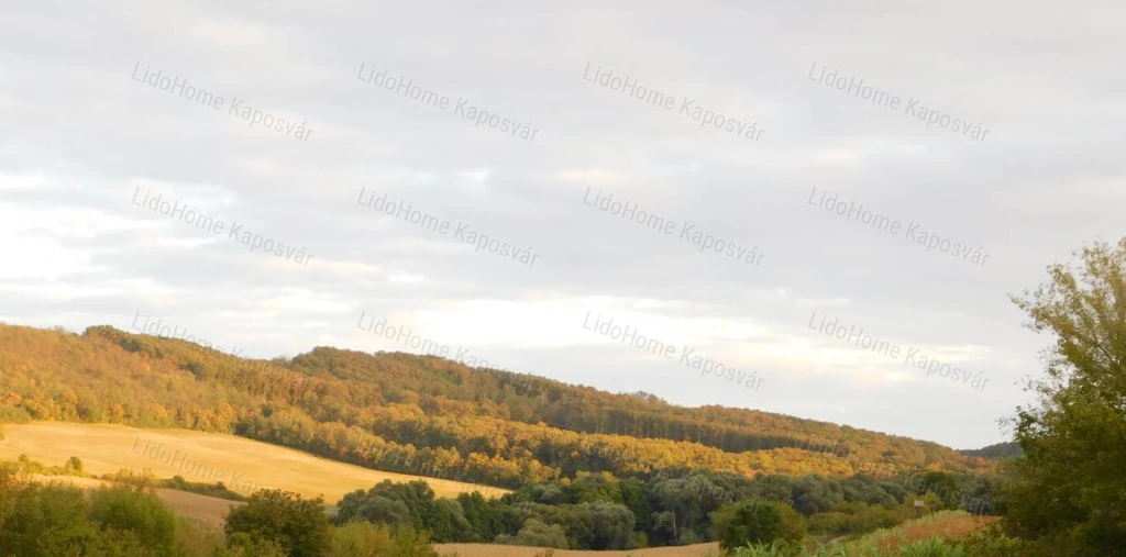 Eladó erdő, rét Bonnyán!