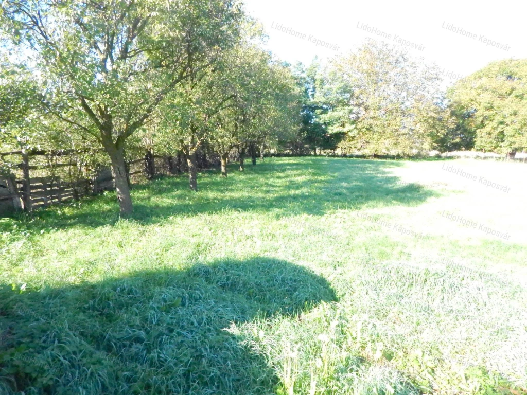 Csendes helyen építési telek eladó!