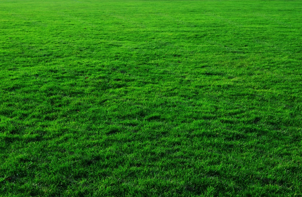 For sale building plot, Kaposvár