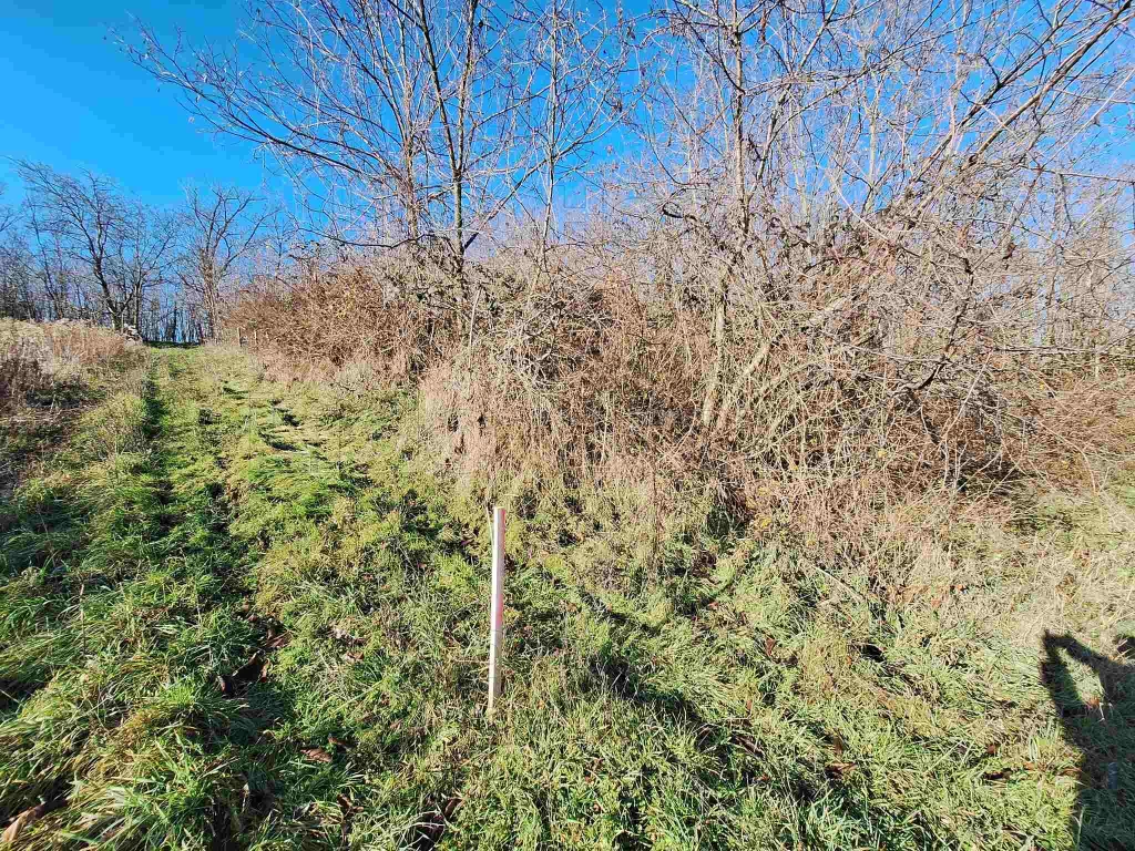 Eladó Zártkert Igalban az Igali fürdő kb. 2 km!