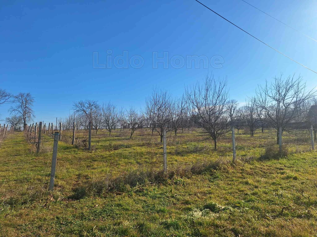 For sale building plot, Szakcs