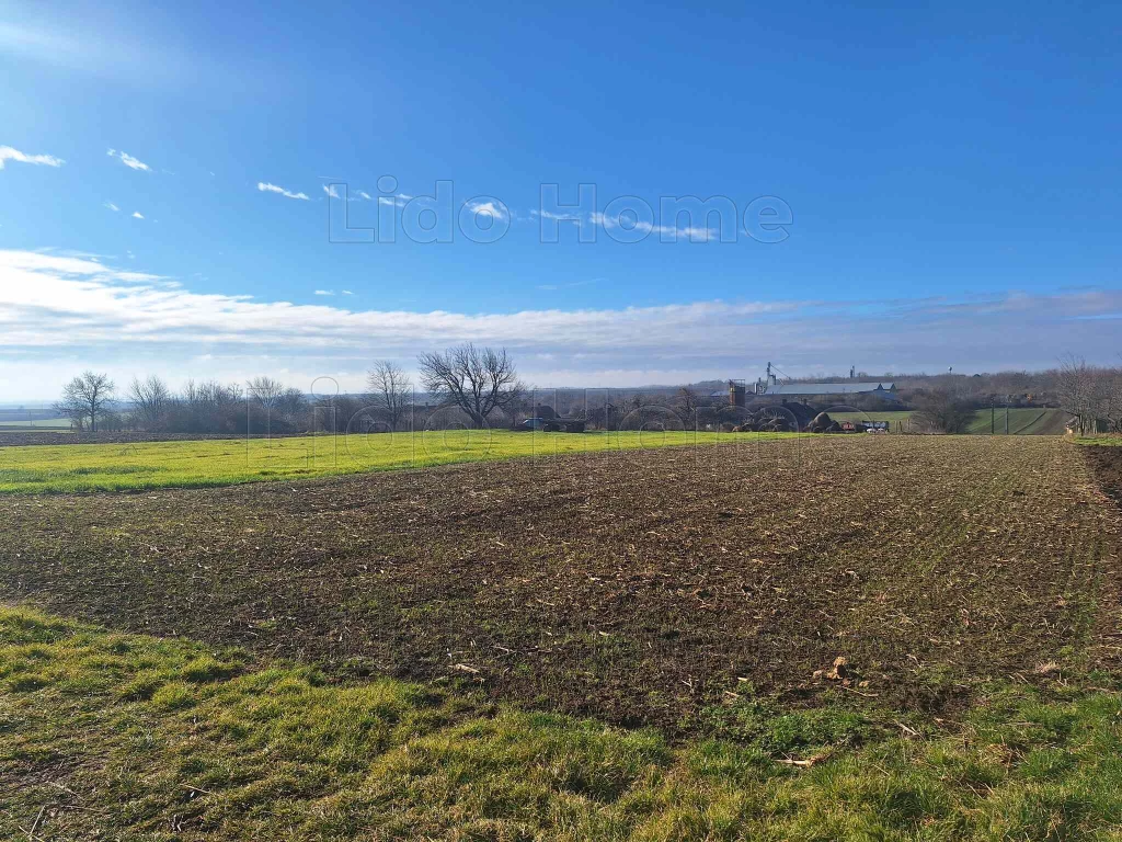 For sale building plot, Szakcs