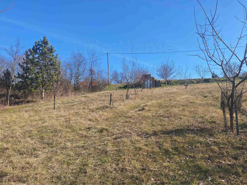 For sale plough-land, pasture, Tamási