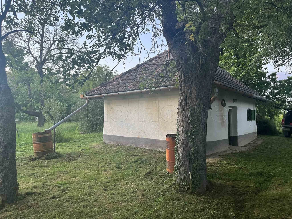 Eladó pince és hozzá tartozó szőlő a KAPOSFÜREDI SZŐLŐHEGYEN