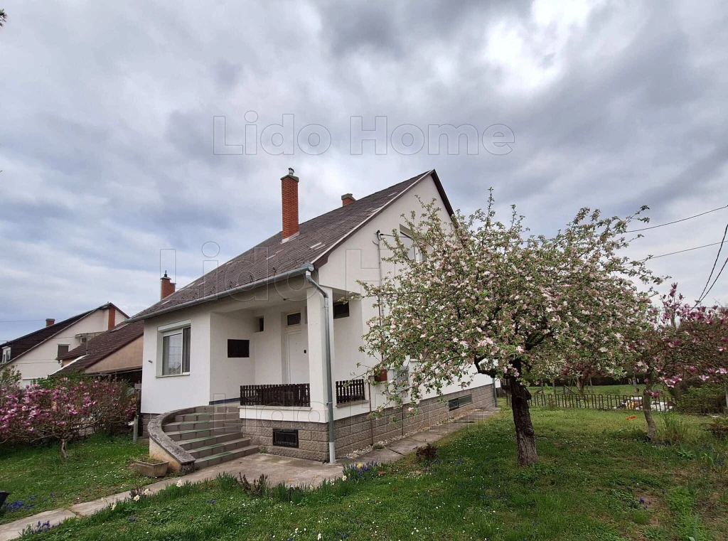 c3-1-name c2-1-name, Kaposvár