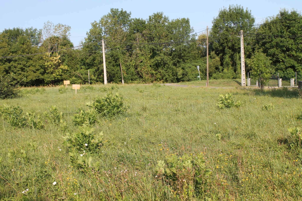 For sale building plot, Zalacsány