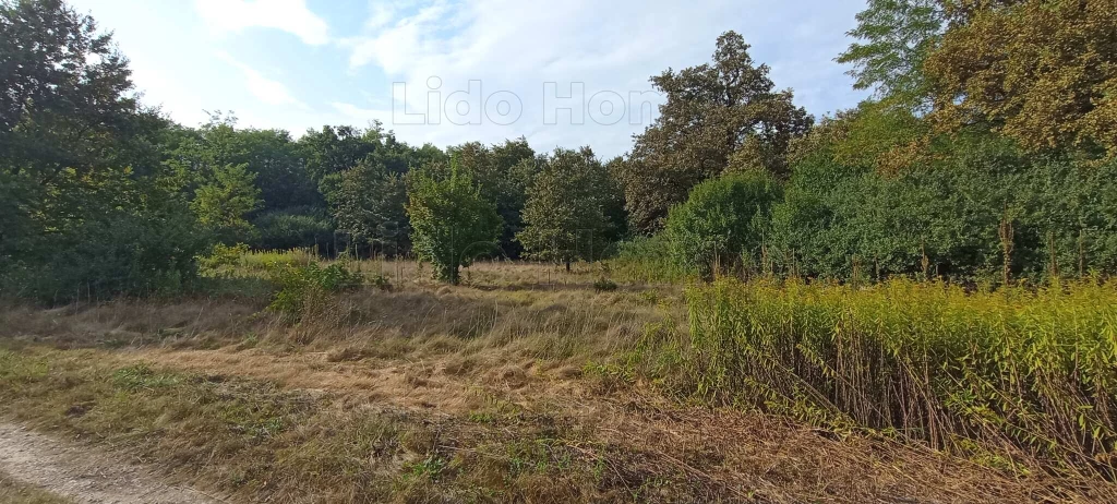 Reziben mezőgazdasági terület eladó