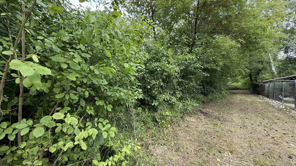 Eladó legelő Balatongyörökön.