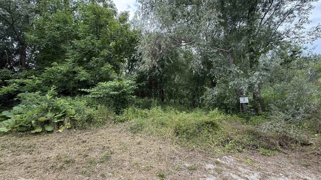 Eladó ERDŐ, RÉT Balatongyörökön.