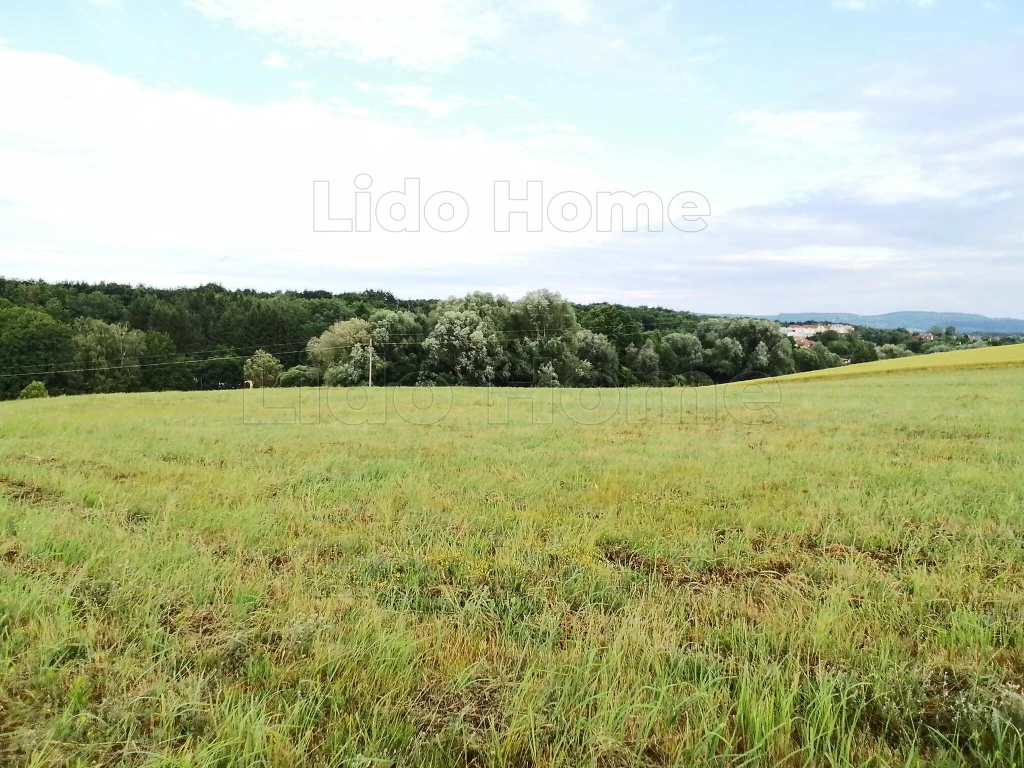 For sale plough-land, pasture, Zalaegerszeg