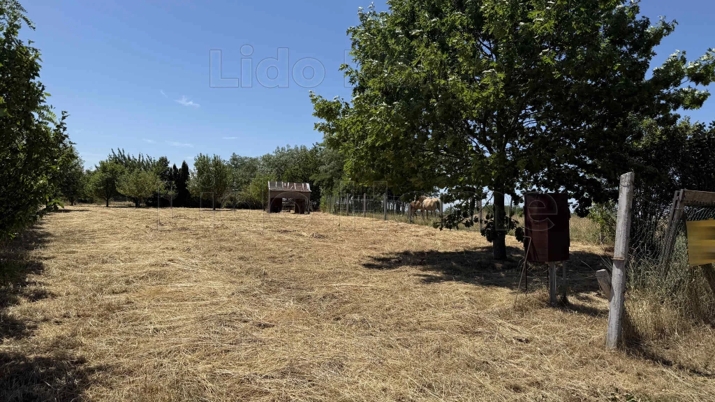 Eladó fauszéli ÉPÍTÉSI TELEK Felsőpáhokon.