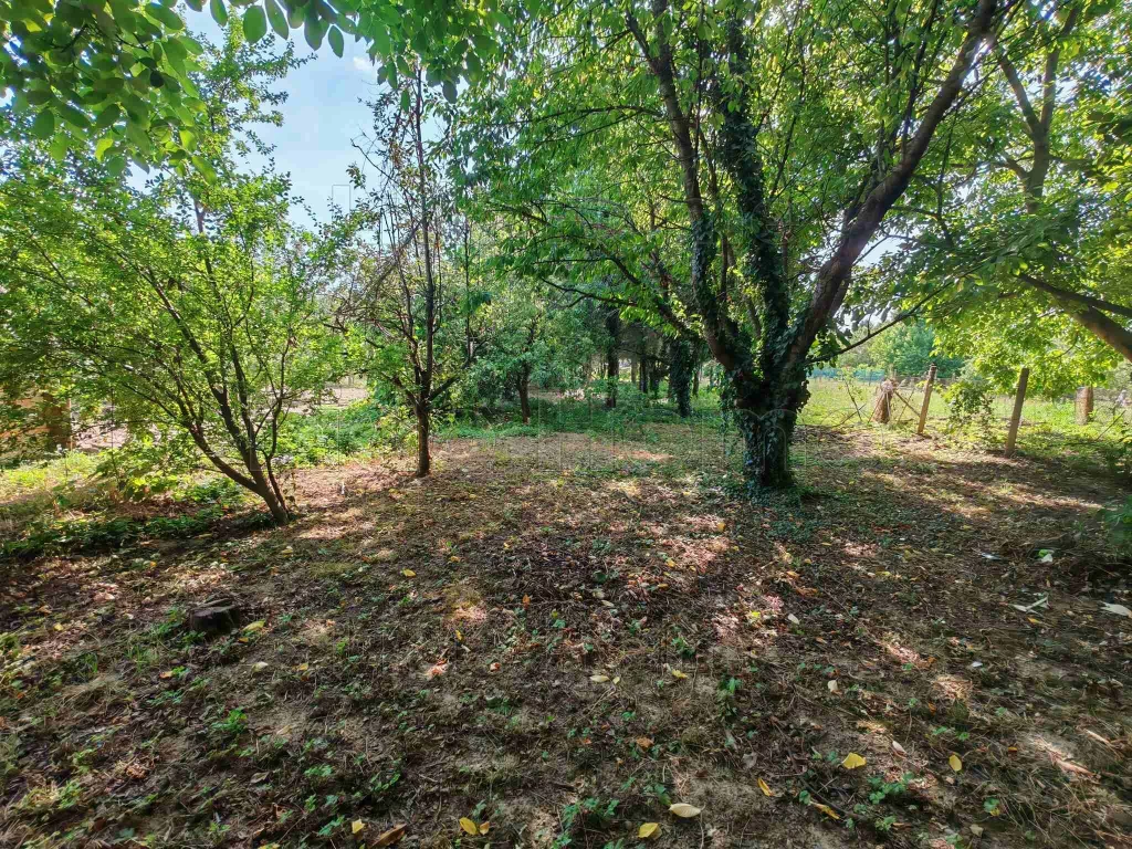 Zalaváron eladó építési telek