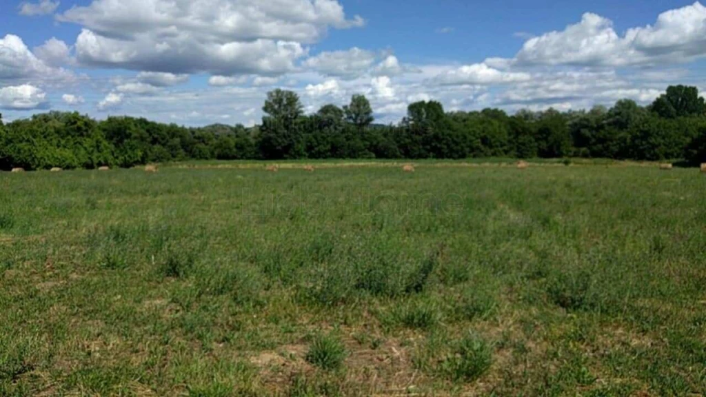 For sale plough-land, pasture, Balatonederics