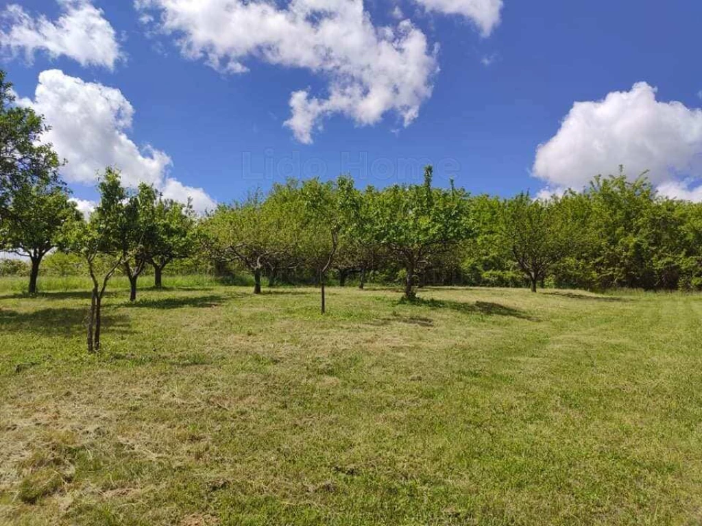 For sale closed garden, Zalaszentgrót