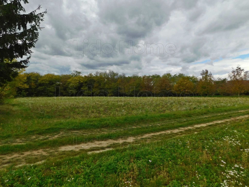 Szentgyörgyváron telek eladó