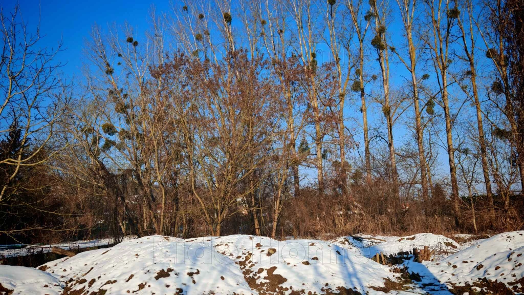 Eladó Zalacsány csendes zsákutcájában, Építési telek