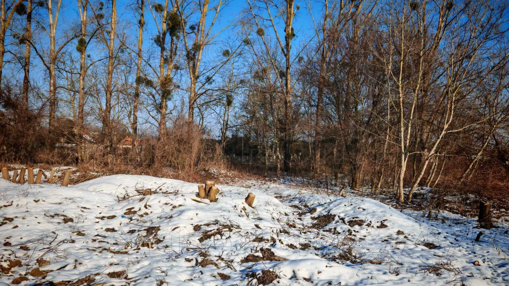 Eladó Zalacsány csendes zsák utcájában, Építési telek
