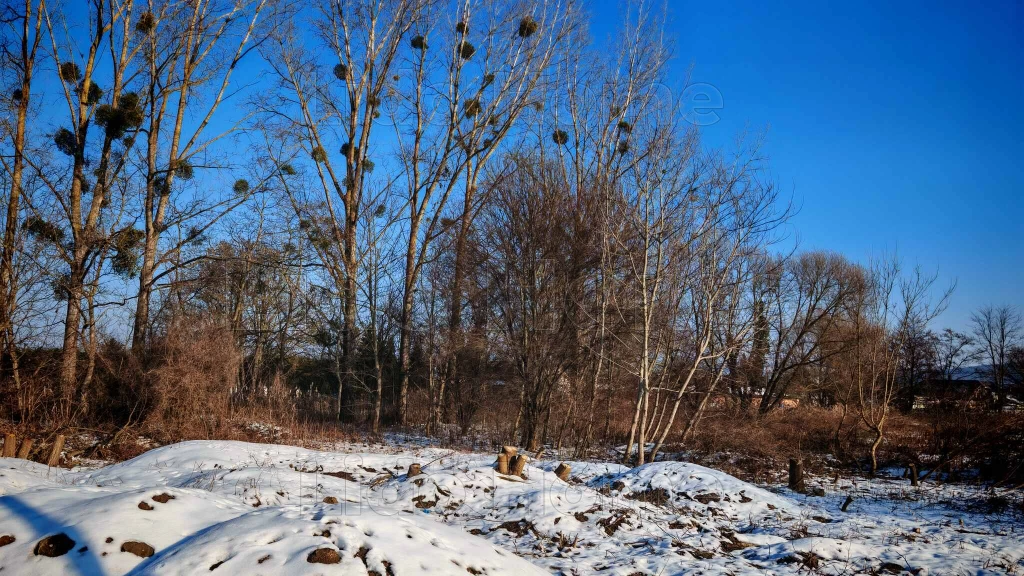 Eladó Zalacsány csendes zsákutcájában, Építési telek