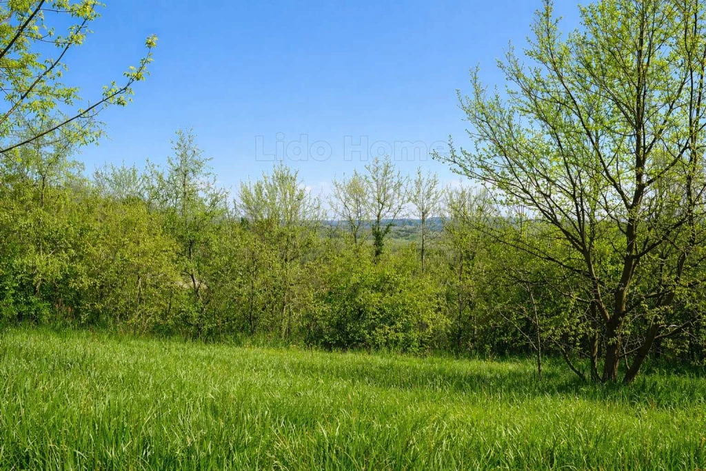 A LIDO HOME KESZTHELY eladásra kínálja KEHIDAKUSTÁNYI ZÁRTKERTI TELKÉT.