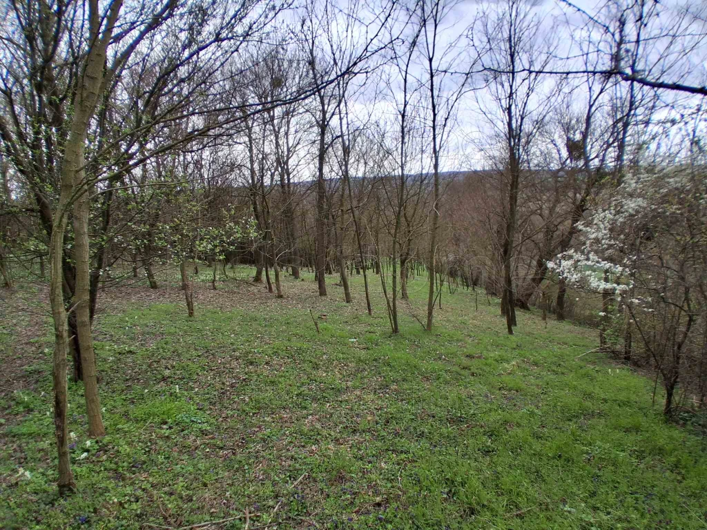 Szentgyörgyvár csendes,nyugodt részén telek eladó!