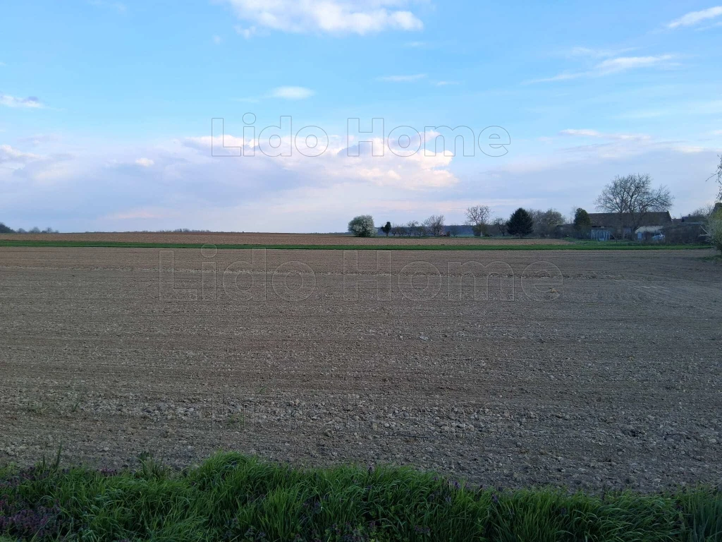 c3-1-name c2-50-name, Zalavár