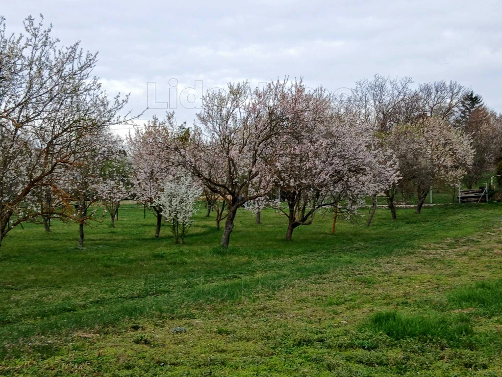 BALATONGYÖRÖKÖN lakóövezeti, belterületi építési telek ELADÓ!