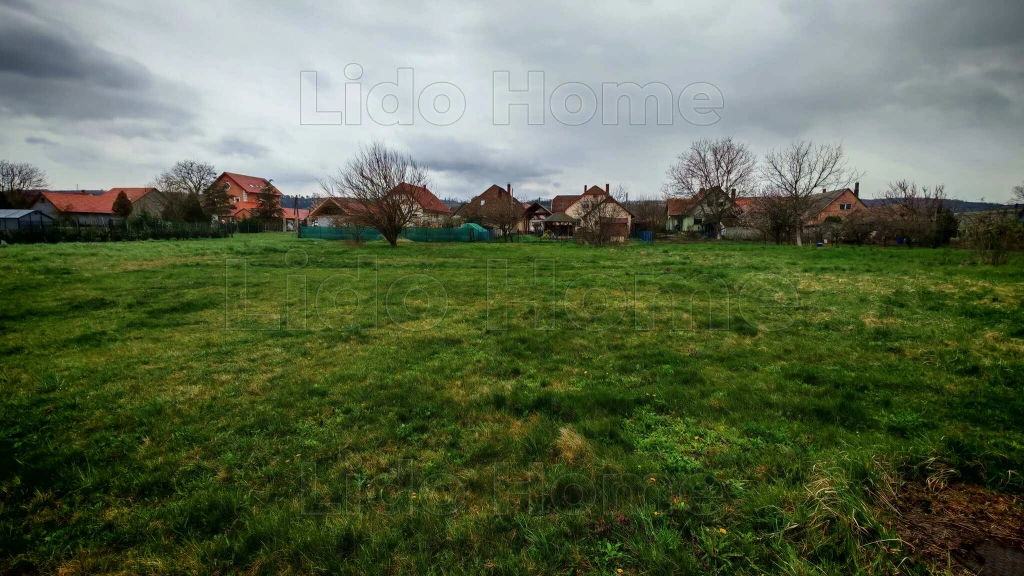 c3-1-name c2-50-name, Zalacsány