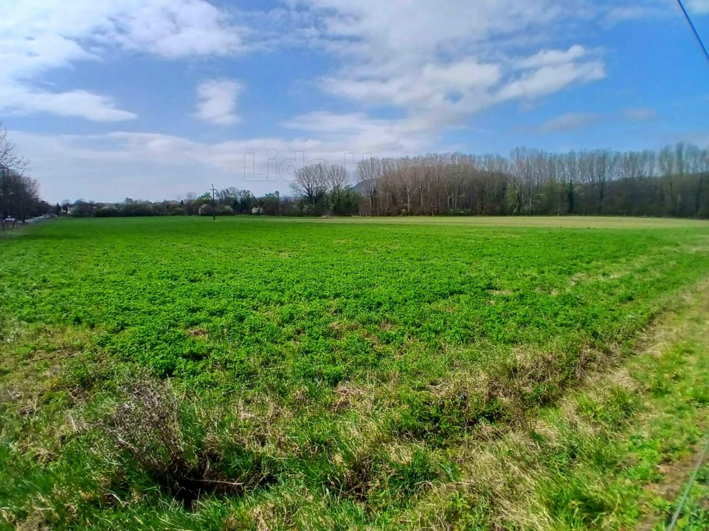 c3-1-name c2-57-name, Nemesgulács