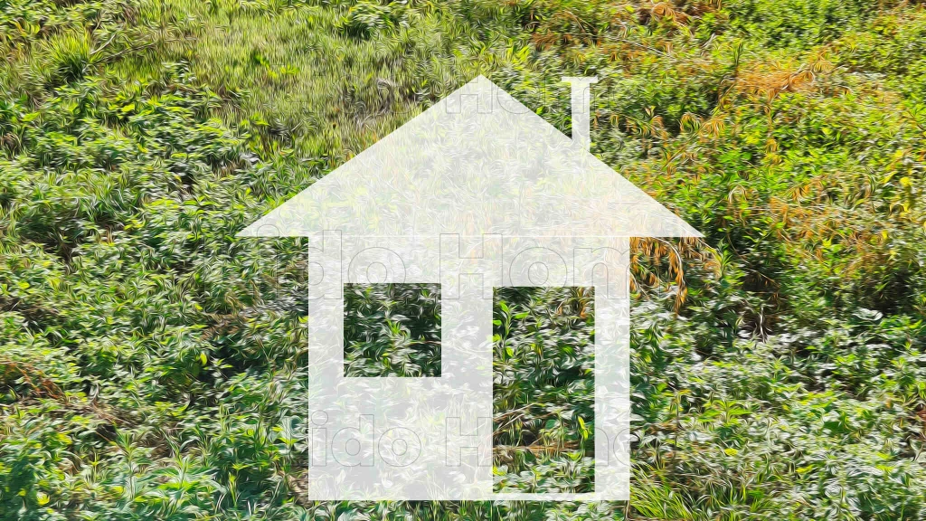 c3-1-name c2-81-name, Lesencetomaj