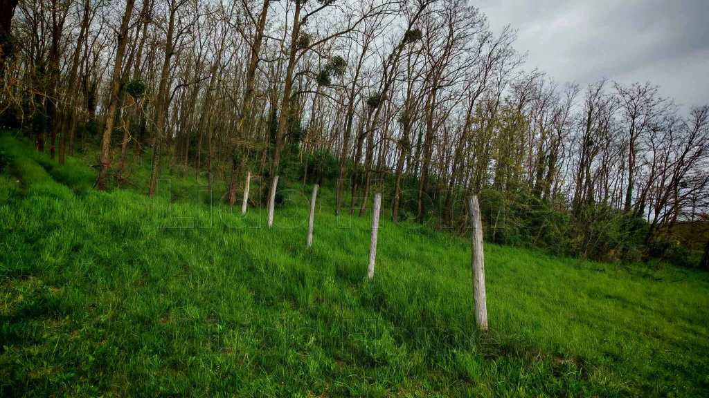 Eladó Belterületi építési telek Kehidakustány közelében Barátszigeten