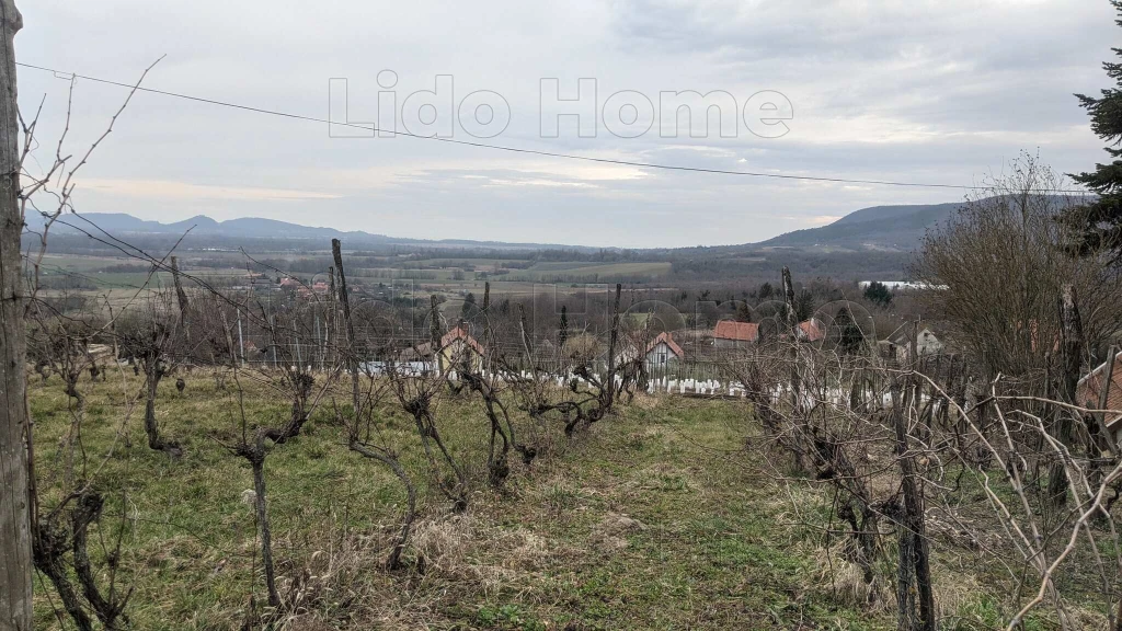 LESENCETOMAJI HEGYEN ZÁRTKERTI INGATLAN GAZDASÁGI ÉPÜLETTEL, BALATONI KÖRPANORÁMÁVAL ELADÓ!