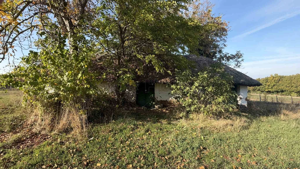 ELADÓ TÁJPANORÁMÁS ZÁRTKERT a Balatonparthoz közel felújítandó présházzal!