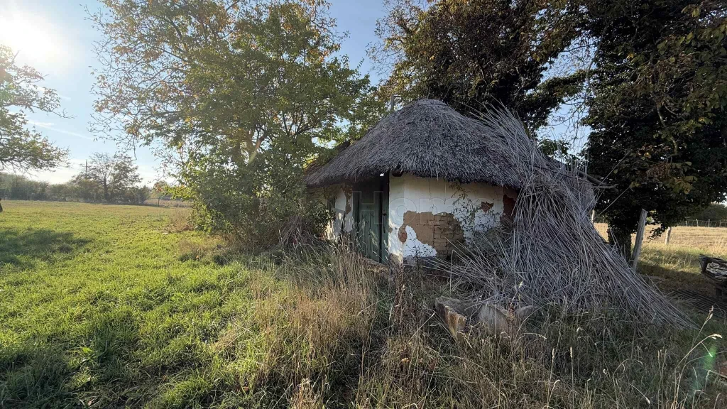 ELADÓ 5022 m2-es ZÁRTKERT a Balatonparthoz közel felújítandó, nádfedeles présházzal!