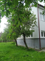 c3-1-name c2-1-name, Balatonalmádi
