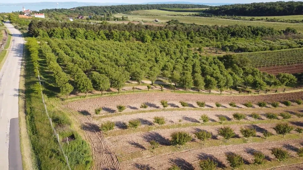 For sale plough-land, pasture, Zánka