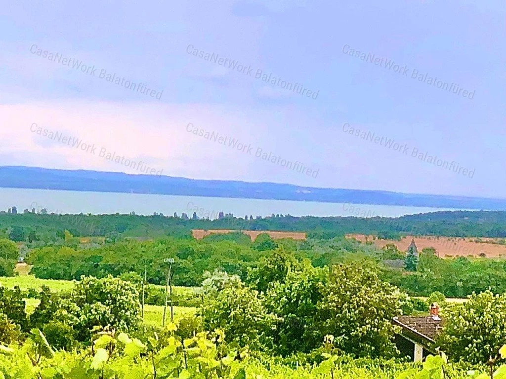 PANORÁMÁS szőlő-ELADÓ Szentantalfán