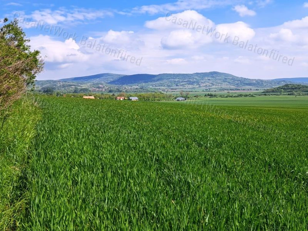 For sale plough-land, pasture, Mindszentkálla