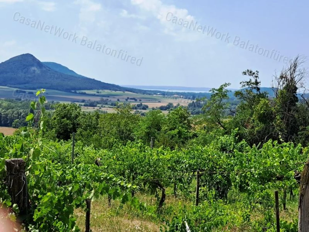 Panorámás, erdő mellett-eladó MEZŐGAZDASÁGI TERÜLET GYULAKESZIN