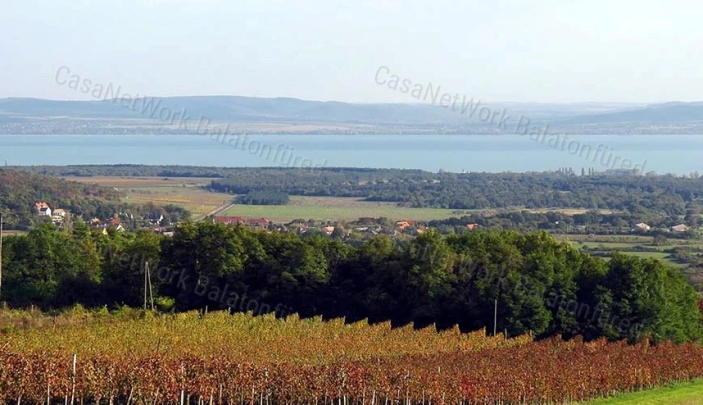 Csodálatos kilátást keresel a Balatonra? MEGTALÁLTAD !!