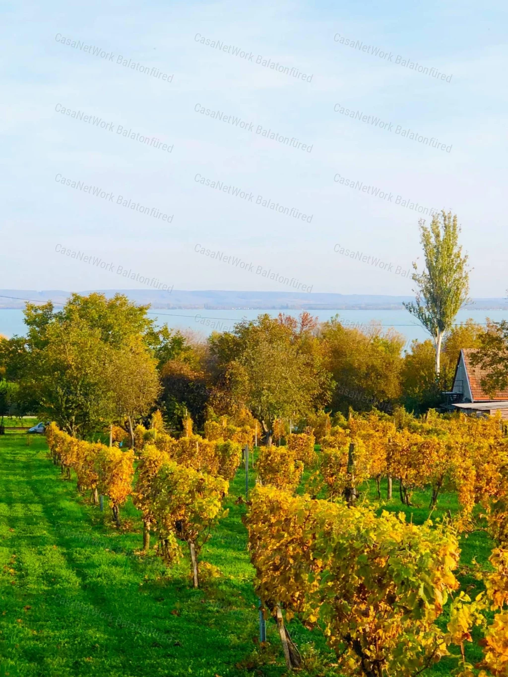 Elvehetetlen,magával ragadó és álom szép PANORÁMA