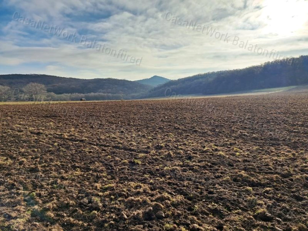 For sale plough-land, pasture, Monoszló