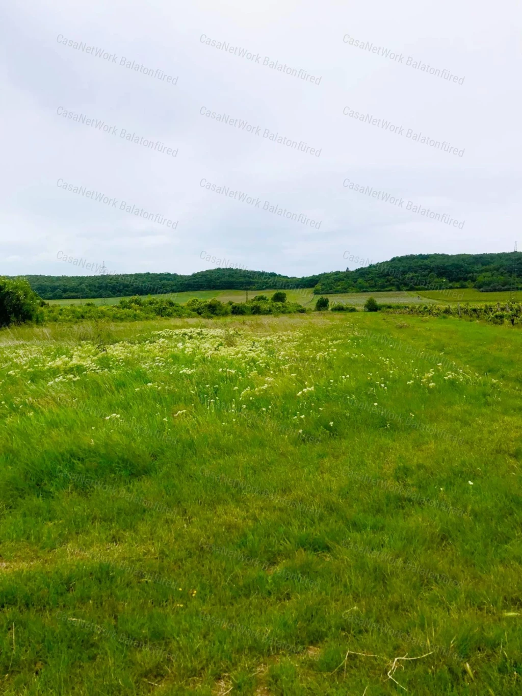 Mezőgazdasági terület ELADÓ Balatonszőlősön
