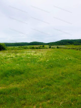 For sale plough-land, pasture, Balatonszőlős