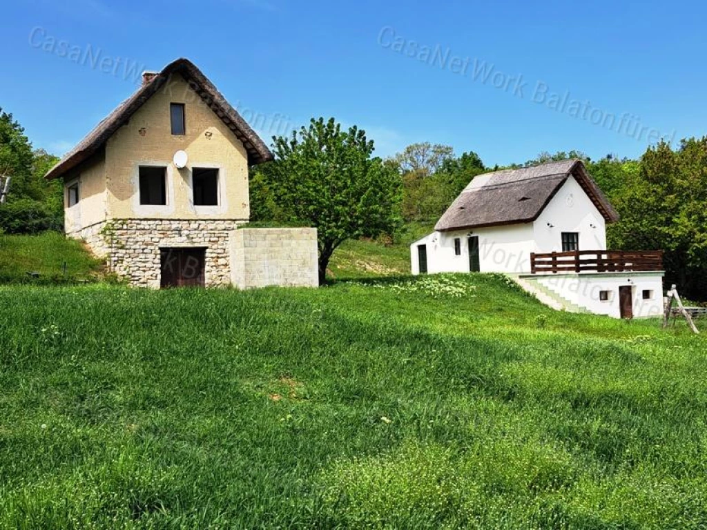 Kettő épület ,örökpanorámával-eladó MEZŐGAZDASÁGI TERÜLET VÁSZOLYBAN